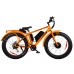 Электро фэтбайк BigCat Dual 1000