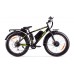 Электро фэтбайк BigCat Dual 1000