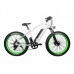 Электрофэтбайк El-sport bike TDE-08 500W
