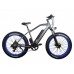 Электрофэтбайк El-sport bike TDE-08 500W